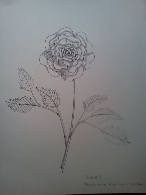 2nd TRY FLOWER